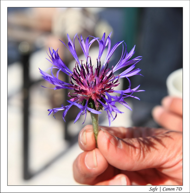 2011 - 05 - Chez Fabrice 39